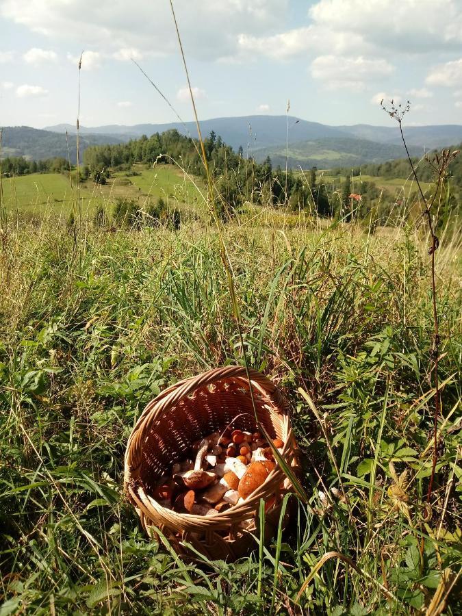 Pod Modrzewiami Διαμέρισμα Milówka Εξωτερικό φωτογραφία